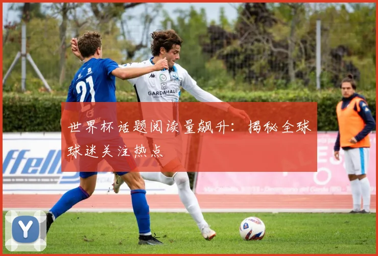 世界杯话题阅读量飙升:揭秘全球球迷关注热点