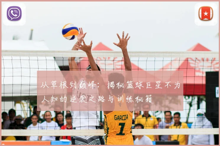 从草根到巅峰:揭秘篮球巨星不为人知的逆袭之路与训练秘籍